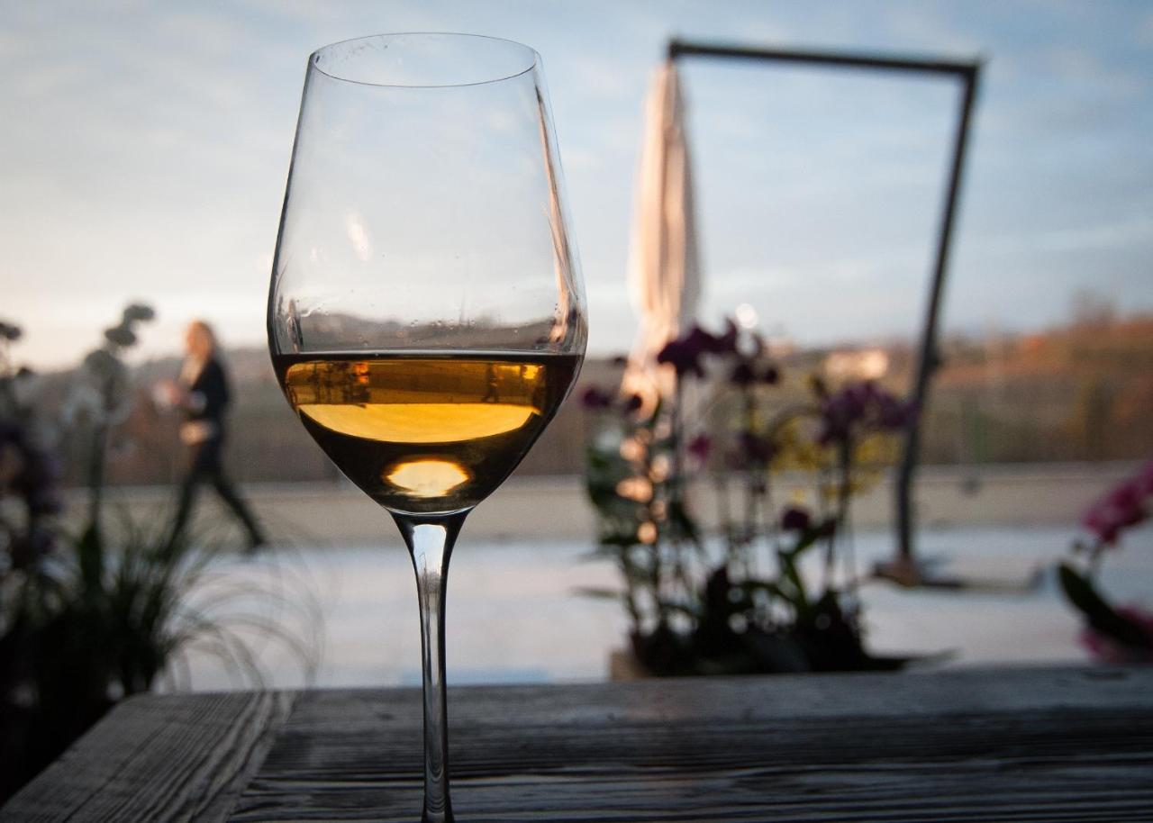 Klanjscek Wine&Stay Gorizia Ngoại thất bức ảnh